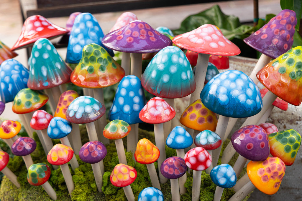 GumDrop Variety Pack