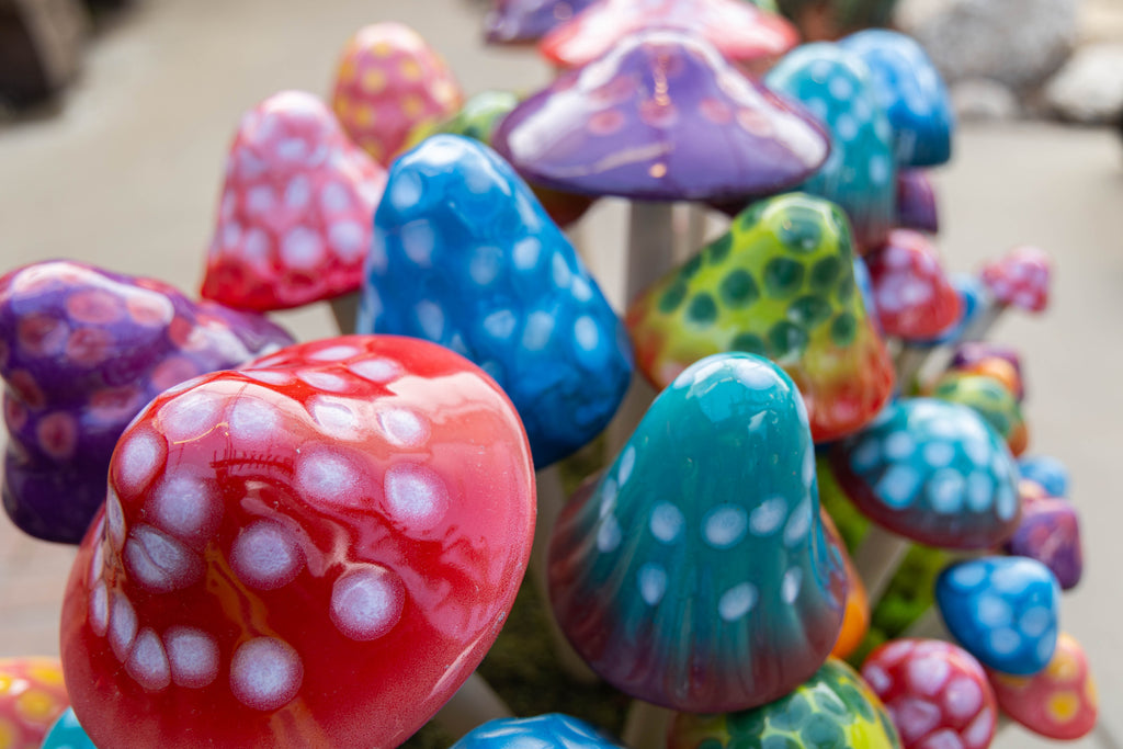 GumDrop Variety Pack