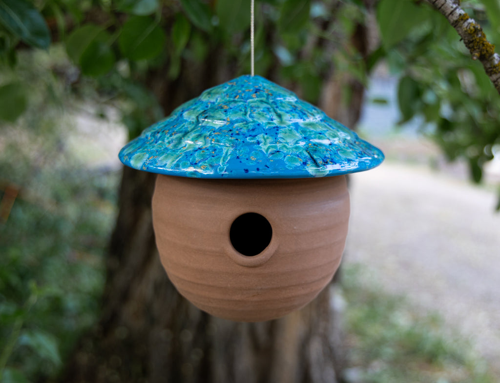 Gourd Birdhouse-Blue Caprice