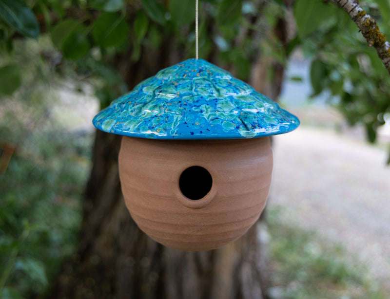 Gourd Birdhouse-Blue Caprice