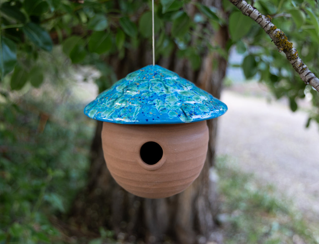 Gourd Birdhouse-Blue Caprice