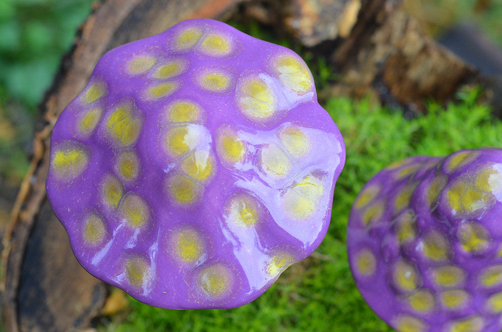 Dinosaur Egg - Plum Scrumptious - 5