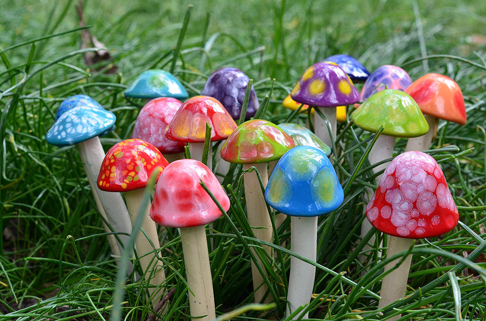 Micro Shroomyz