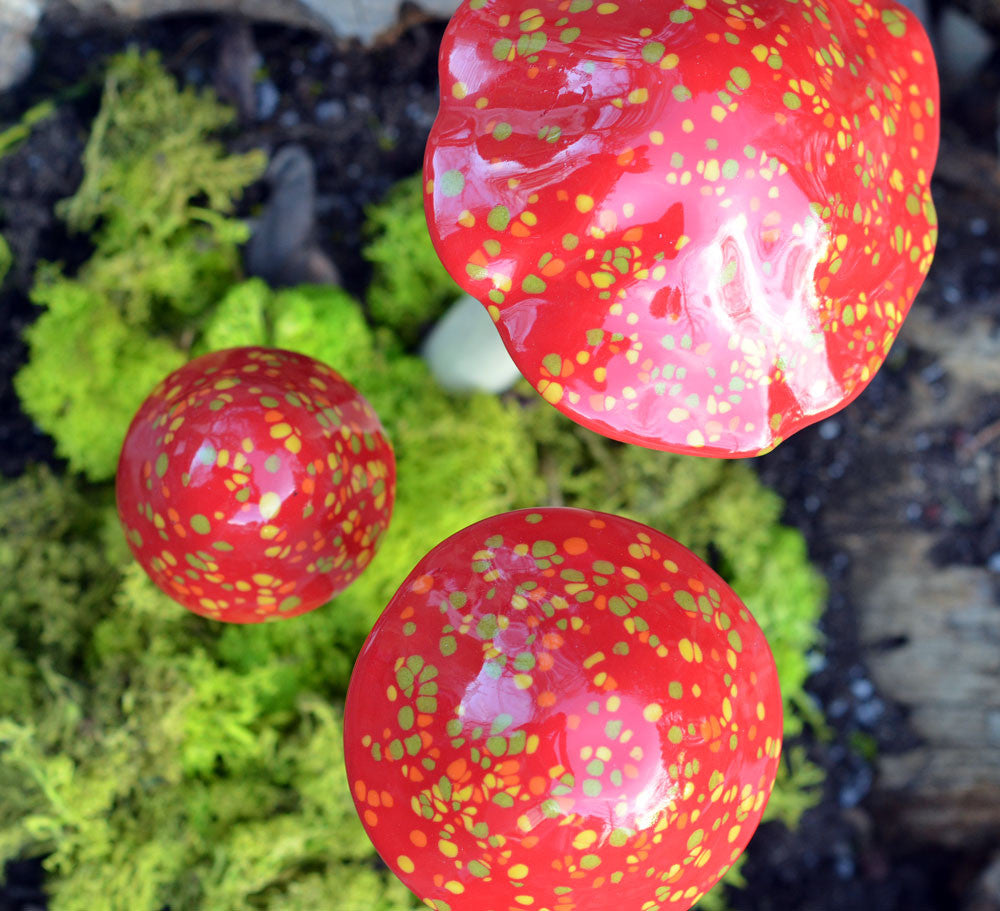 Firecracker - Plum Scrumptious - 4
