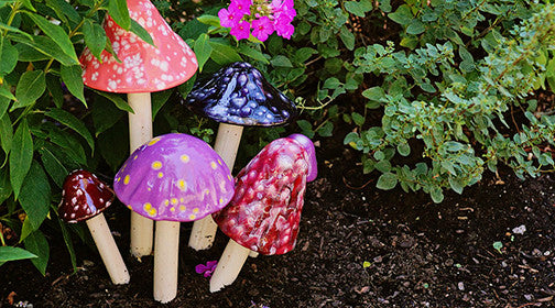 Funtasmic Variety Pack - Plum Scrumptious - 5
